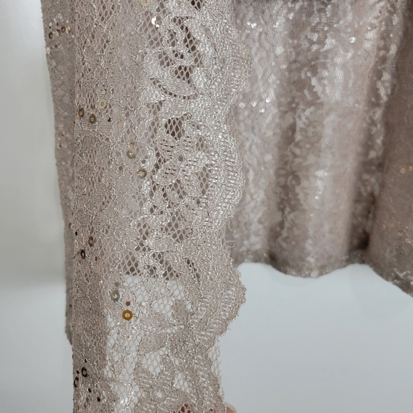 NWT R&M Richards Metallic Lace Tank Top with Sheer Lace Jacket in Champagne 4P - Picture 8 of 13